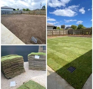 All season fresh grass