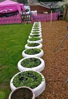 Instant lawn