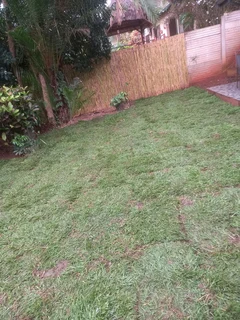 Instant grass