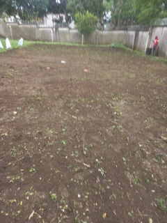 Evergreen grass fresh from the farm