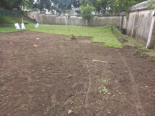 Evergreen grass fresh from the farm