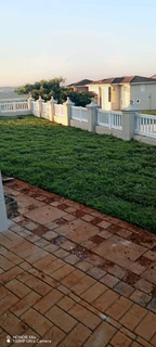 All season fresh grass