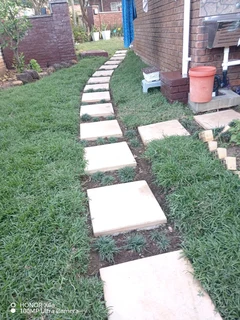 All season fresh grass