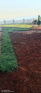 All season fresh grass