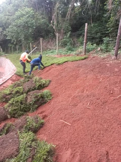 All season fresh grass lawn