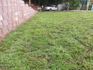 Instant grass