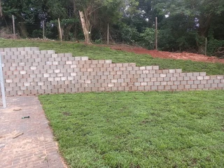 All season fresh grass