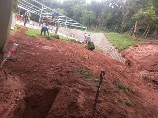 All season fresh grass