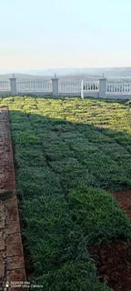 Fresh Lawn