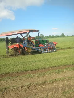 All Seasons Fresh Lawn