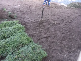 Instant grass