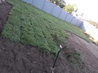 Fresh Lawn