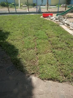 Delivery &amp;/ Installation of real grass