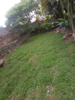 Delivery &amp;/ Installation of real grass