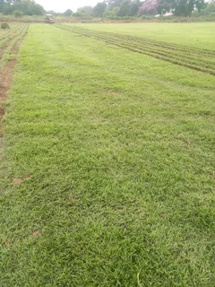 Delivery &amp;/ Installation of real grass