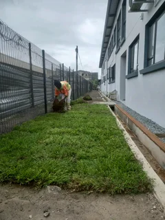 Delivery and installation of real grass