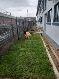 Delivery and installation of real grass
