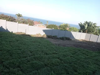 All season fresh grass