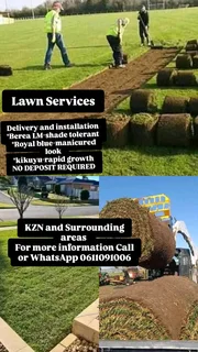 All season fresh grass