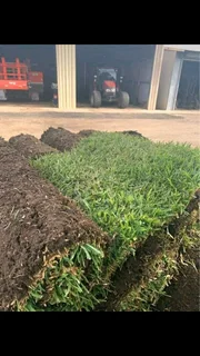 Installation and installation of real grass