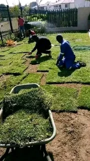 Installation and installation of real grass