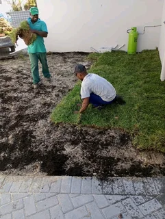 All season fresh grass