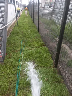 All season fresh grass