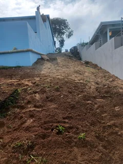 All season fresh grass