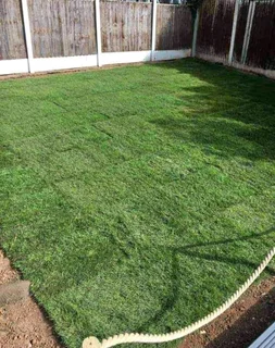 Instant lawn