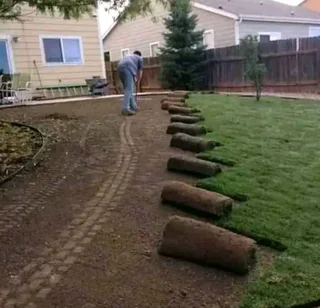 All season fresh grass