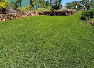 All season fresh grass