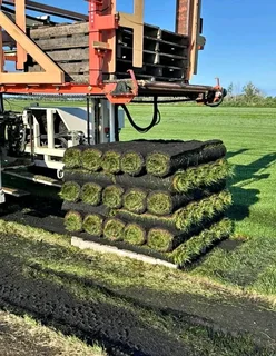Instant turf
