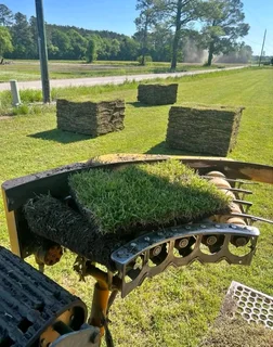 Instant turf