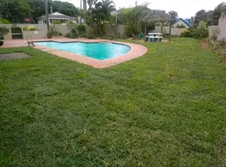 Instant grass
