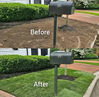 Instant grass