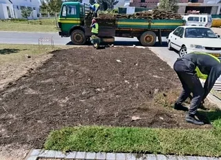 Evergreen grass fresh from the farm