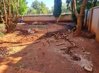 All season fresh grass