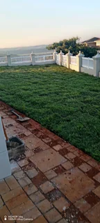 Instant lawn