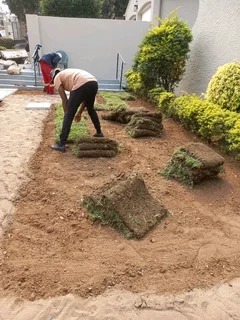 Instant lawn