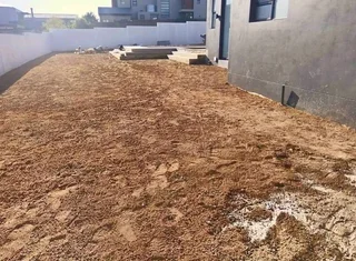 Evergreen grass fresh from the farm