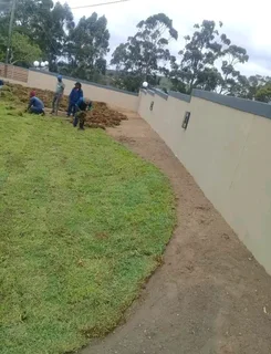 Evergreen grass fresh from the farm