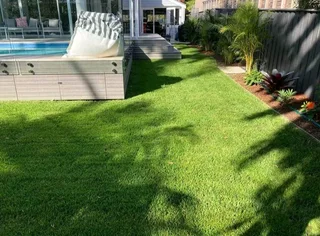 Instant lawn