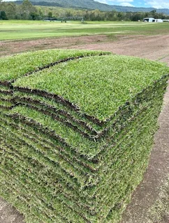 Instant grass