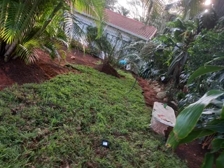 All season fresh grass