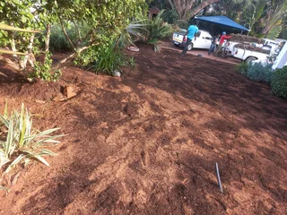 All season fresh grass