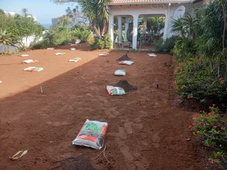 All season fresh grass