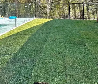 Instant grass