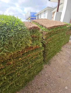 Instant grass