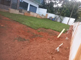 Instant grass
