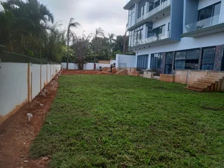 All season fresh grass